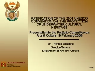 Mr  Themba Wakashe  Director-General: Department of Arts and Culture
