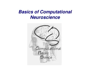 Basics of Computational Neuroscience