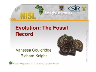 Evolution: The Fossil  Record