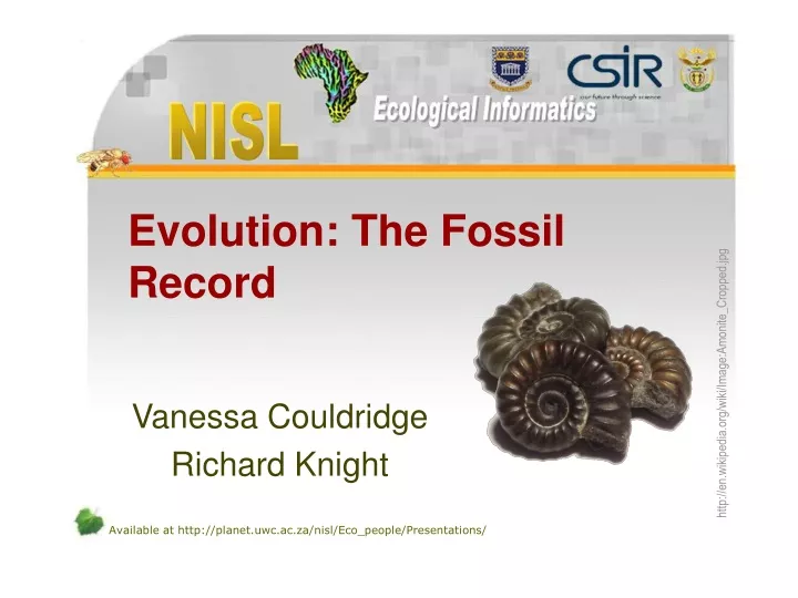evolution the fossil record