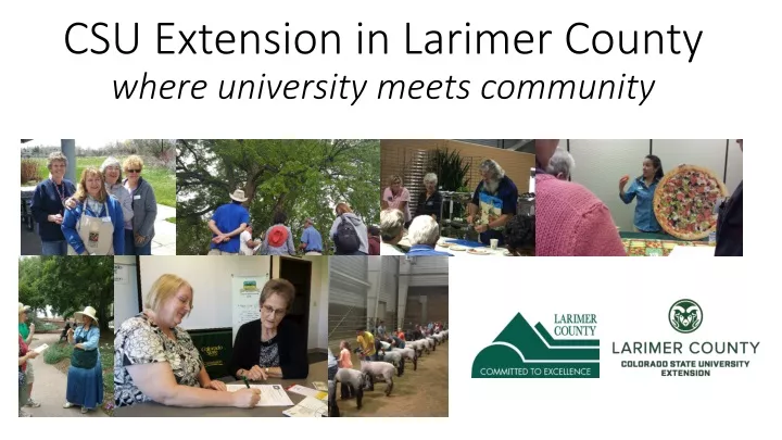 csu extension in larimer county where university meets community