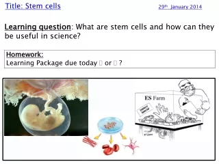 Title: Stem cells 29 th   January 2014
