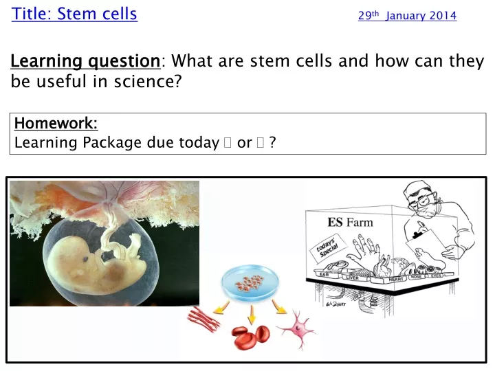title stem cells 29 th january 2014