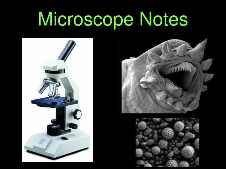microscope notes