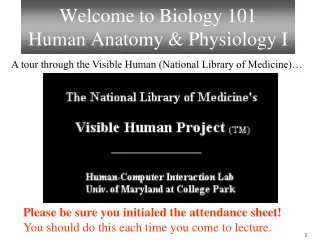 Welcome to  Biology 101 Human Anatomy &amp; Physiology I