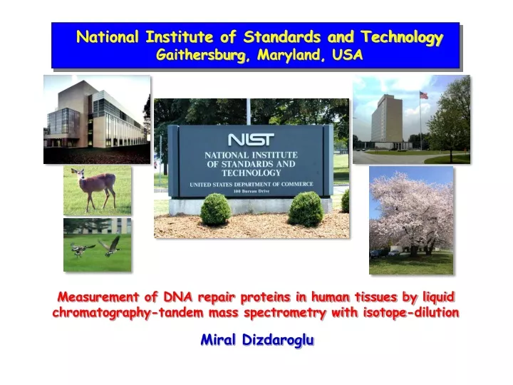 national institute of standards and technology