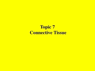 Topic 7 Connective Tissue