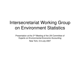 Intersecretariat Working Group on Environment Statistics
