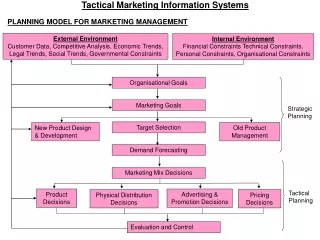 Tactical Marketing Information Systems