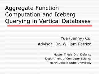 Aggregate Function Computation and Iceberg Querying in Vertical Databases