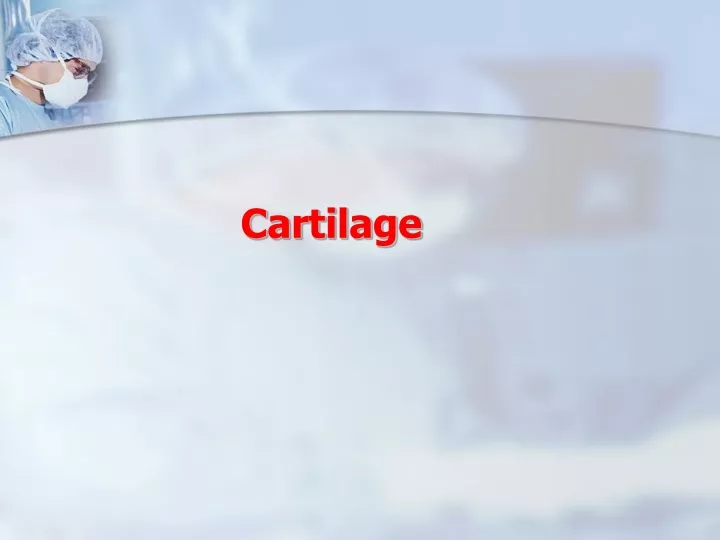 cartilage