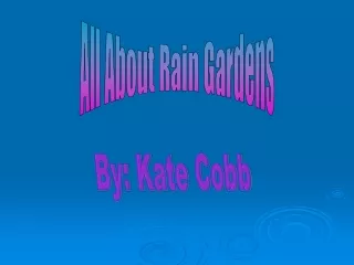 All About Rain Gardens