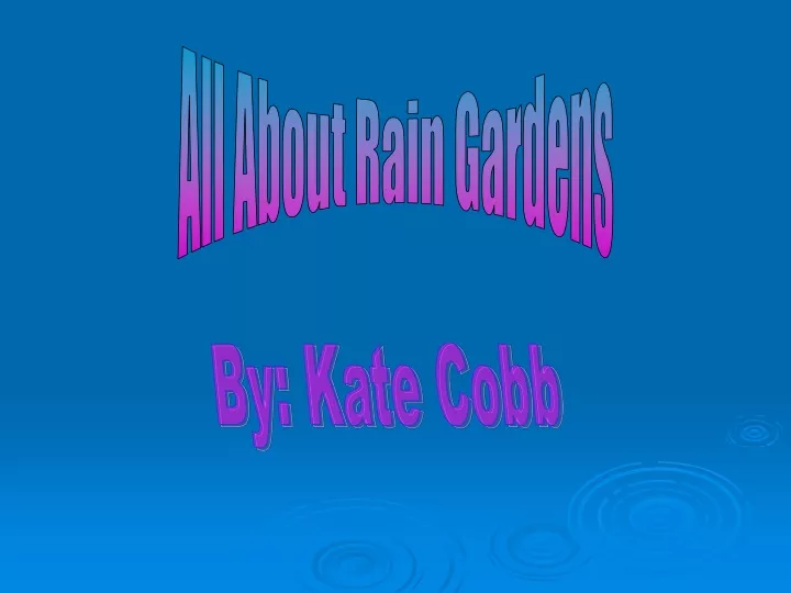 all about rain gardens