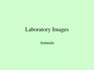 Laboratory Images