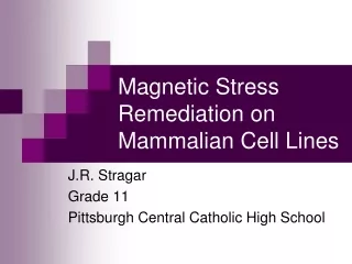 Magnetic Stress Remediation on Mammalian Cell Lines