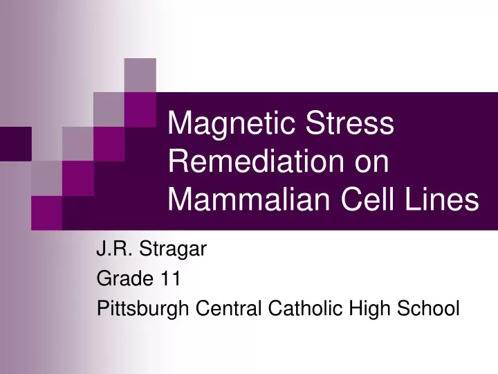 magnetic stress remediation on mammalian cell lines
