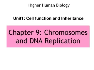 Chapter 9: Chromosomes  and DNA Replication