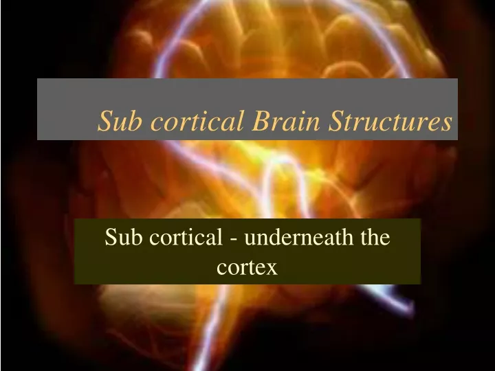 sub cortical brain structures