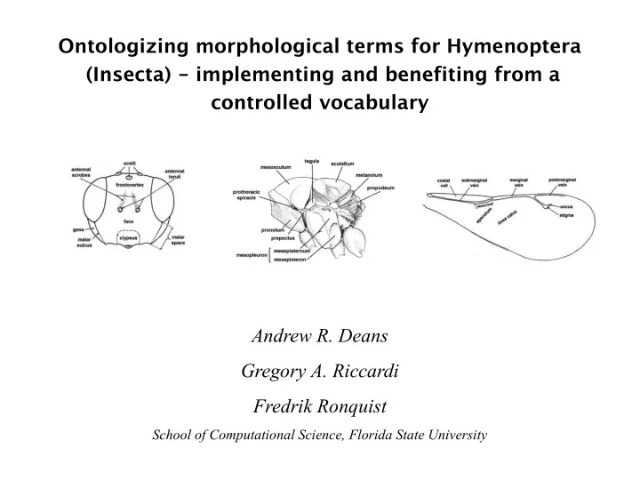 ontologizing morphological terms for hymenoptera
