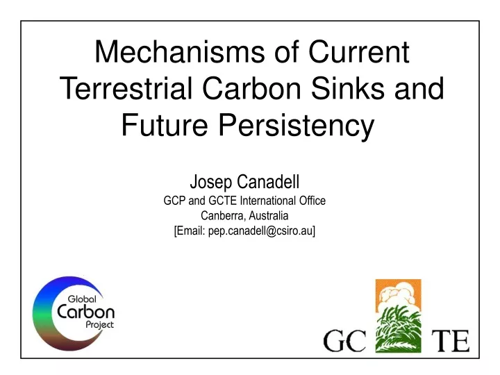 mechanisms of current terrestrial carbon sinks