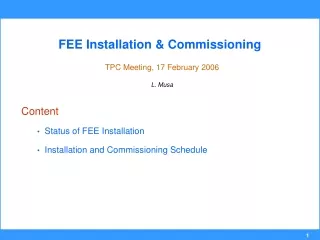 FEE Installation &amp; Commissioning TPC Meeting, 17 February 2006 L. Musa