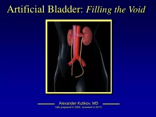 Artificial Bladder:  Filling the Void