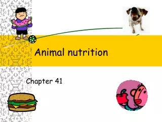 Animal nutrition