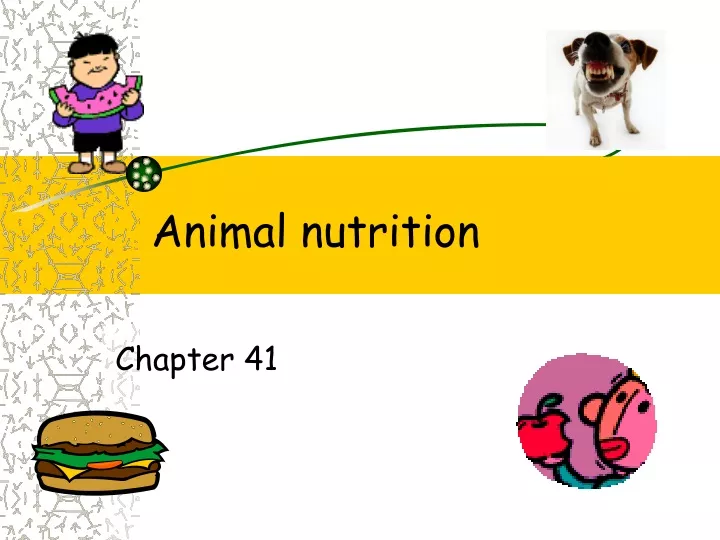 animal nutrition