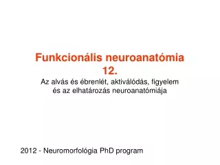 Funkcionális neuroanatómia 12.