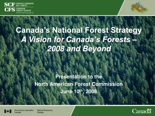 Canada’s National Forest Strategy A Vision for  Canada’s Forests – 2008 and Beyond