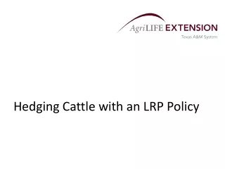 Hedging Cattle with an LRP Policy