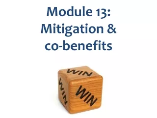 Module 13: Mitigation  &amp;  co-benefits