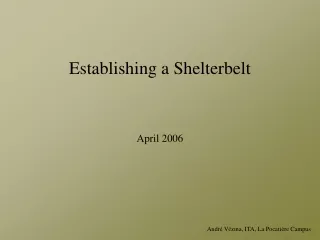 Establishing a Shelterbelt April 2006