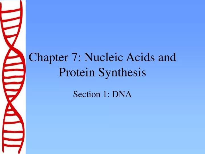 chapter 7 nucleic acids and protein synthesis