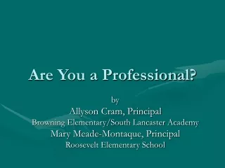 Are You a Professional?