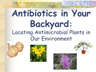 Antibiotics in Your Backyard : Locating Antimicrobial Plants in Our Environment