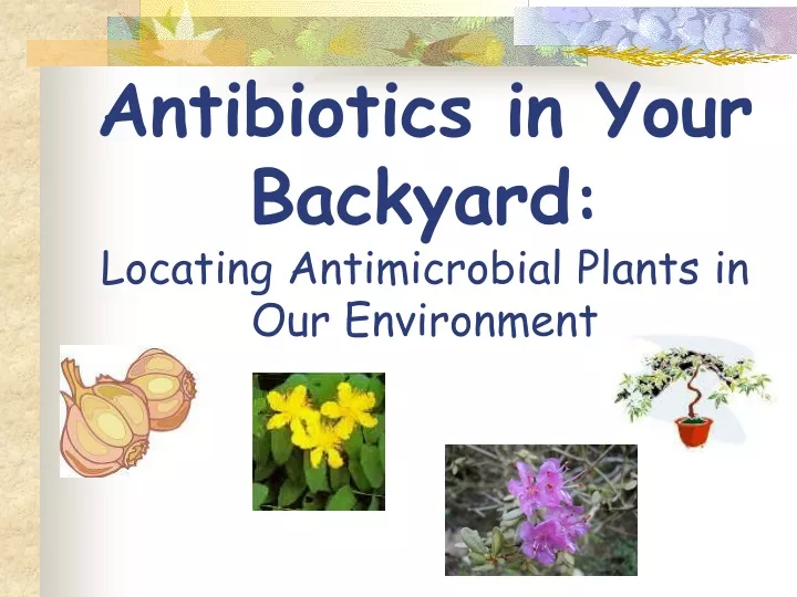 antibiotics in your backyard locating antimicrobial plants in our environment