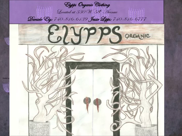 elypps organic clothing located