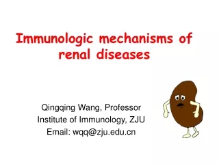 Immunologic mechanisms of  renal diseases
