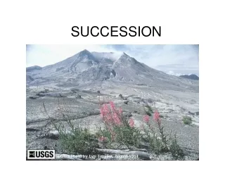 SUCCESSION