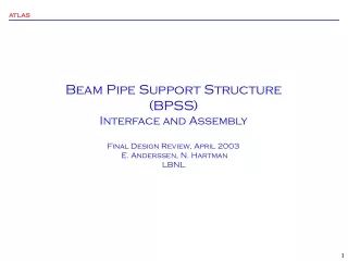 Beam Pipe Support