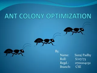 ANT COLONY OPTIMIZATION