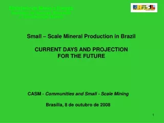 Small – Scale Mineral Production in Brazil CURRENT DAYS AND PROJECTION  FOR THE FUTURE