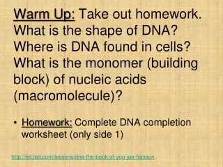Homework: Complete DNA completion worksheet (only side 1)