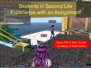 Students in Second Life Experience with an Assignment