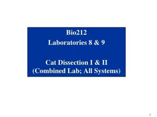 Bio212 Laboratories 8 &amp; 9 Cat Dissection I &amp; II (Combined Lab; All Systems)