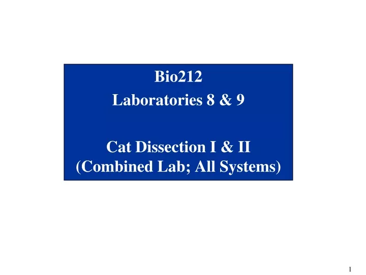 bio212 laboratories 8 9 cat dissection i ii combined lab all systems