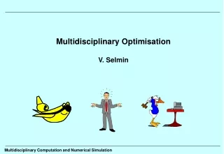 Multidisciplinary Optimisation V. Selmin