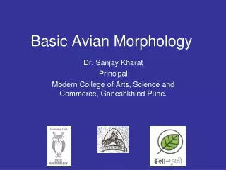 Basic Avian Morphology