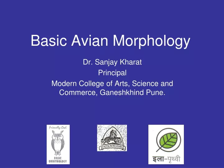 basic avian morphology